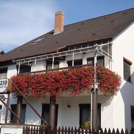 Anna vendégház Bed and Breakfast Szeged Exterior foto